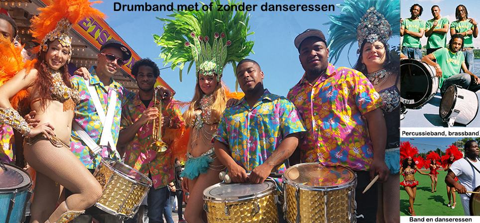Professionele dansers om sambalessen te gaven