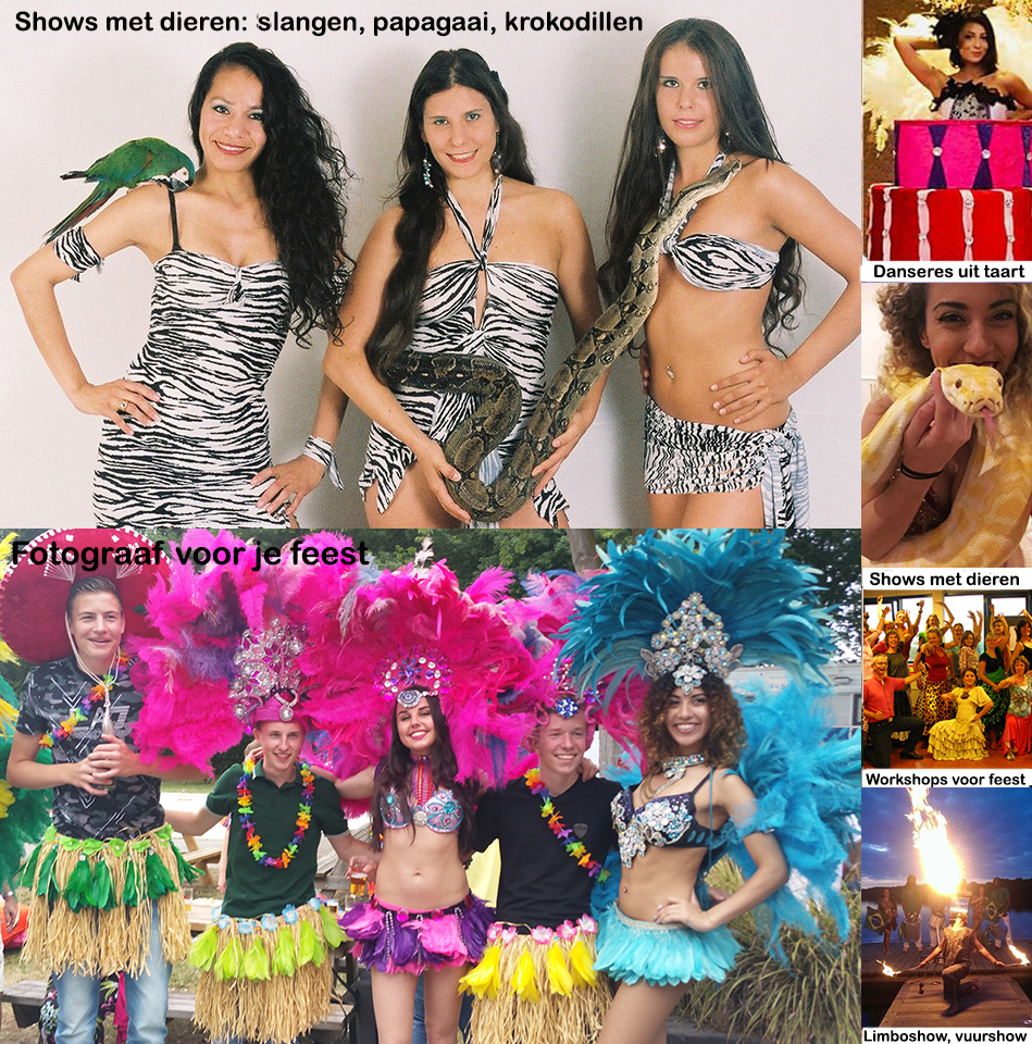 Samba Dansers voor je Feest